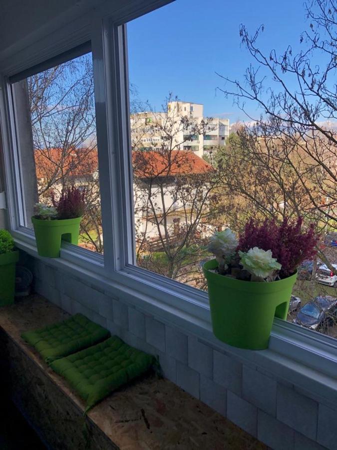 Ami-Go/ Blizu Zracne Luke Zagreb Appartement Velika Gorica Buitenkant foto